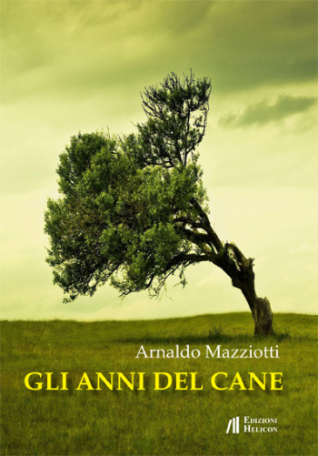 Gli anni del can 544fc44b78fcf