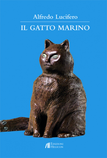 Il gatto Marino 5890bd2be598a