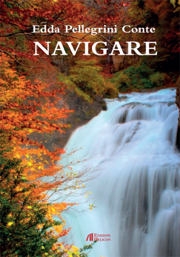 Navigare 55ccd9f64db6c