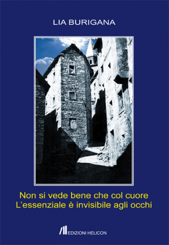 Non si vede bene 560d57fa55694