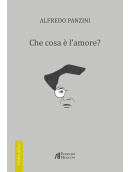 Che cosa    l am 59159dc308358