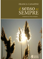 IL SENSO DEL SEM 515e90f6cc23b