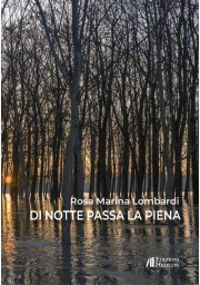 Di notte passa l 5e5004c7b95a7