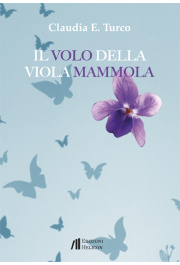 Il volo della vi 5b2293b967ae0