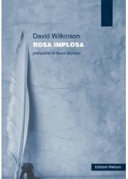 Rosa implosa 50efd949b8be5