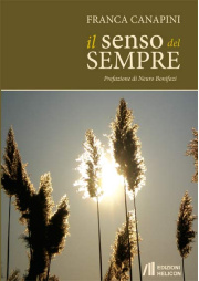 IL SENSO DEL SEM 515e90f6cc23b