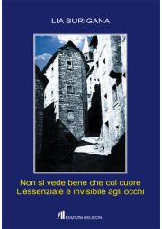 Non si vede bene 560d57fa55694